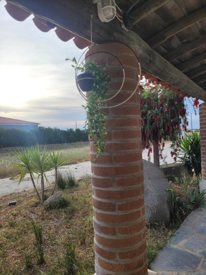 Вілла Quinta Da Belavista Регенгуш-де-Монсараш Екстер'єр фото