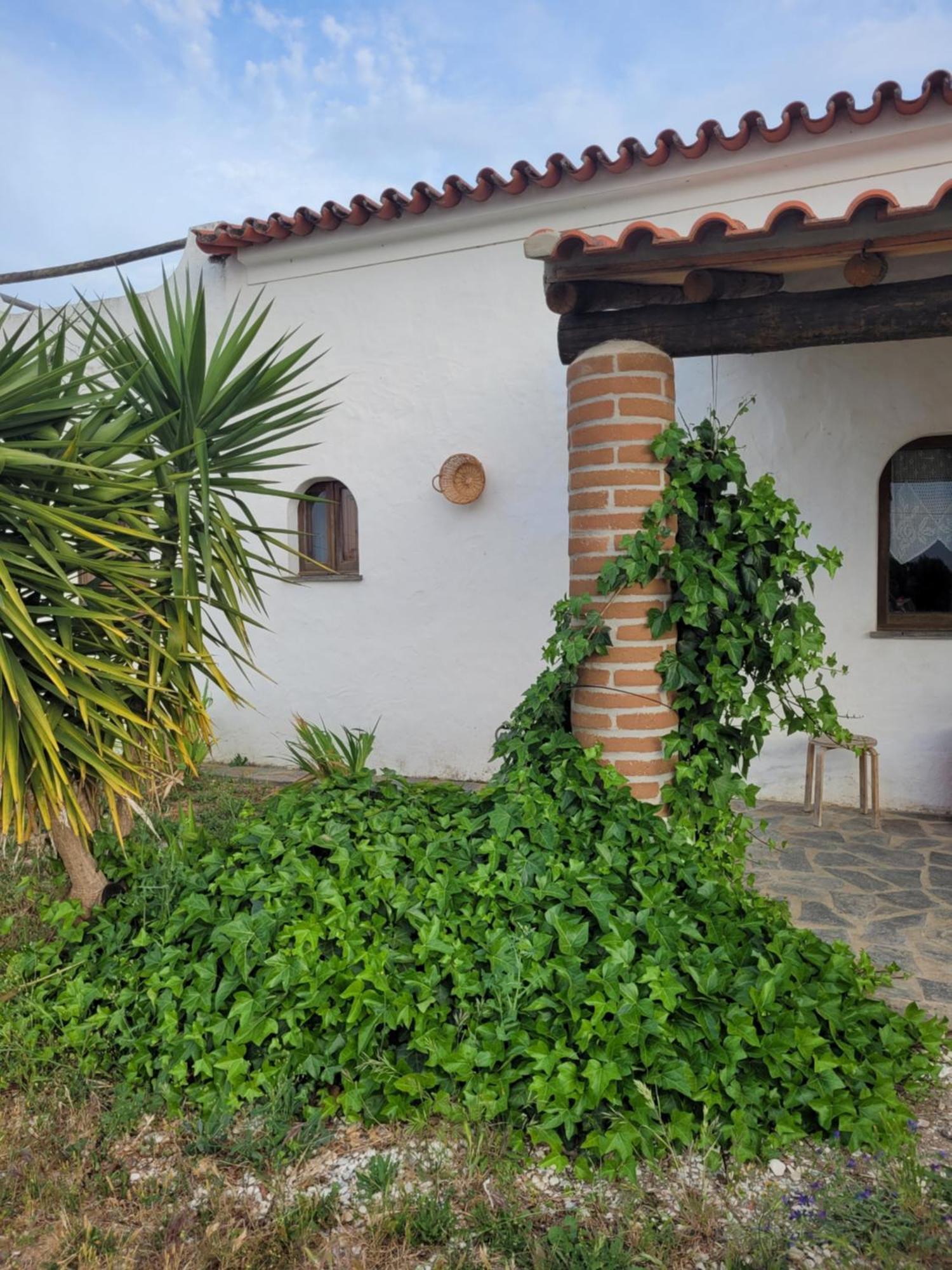 Вілла Quinta Da Belavista Регенгуш-де-Монсараш Екстер'єр фото